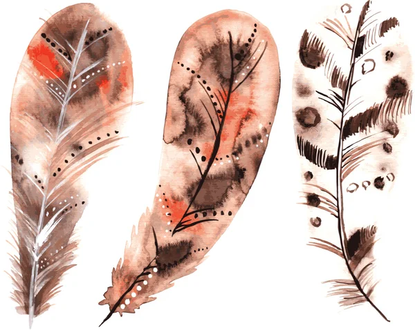 Set de tres acuarelas de plumas beige — Archivo Imágenes Vectoriales