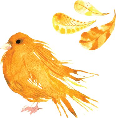set - watercolor bird canary, hand-drawn sketch of the technique