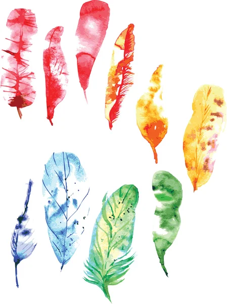 Набор красочных акварельных перьев — стоковый вектор