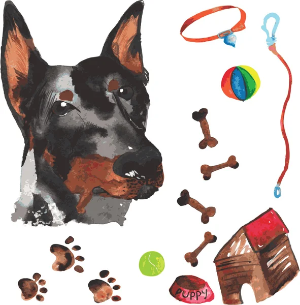 Kit vétérinaire comprenant doberman et accessoires pour chiens, wat — Image vectorielle