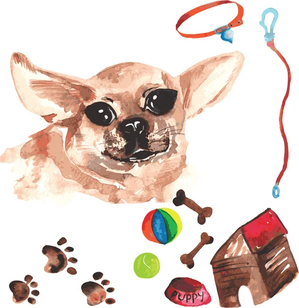 Kit vétérinaire comprenant Chihuahua et accessoires pour chiens, wa — Image vectorielle