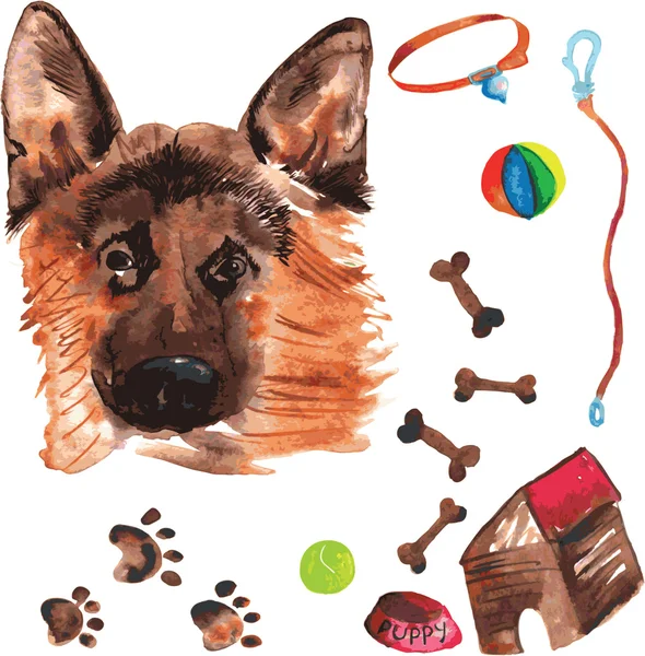 Kit vétérinaire comprenant Berger Allemand et accessoires pour faire — Image vectorielle