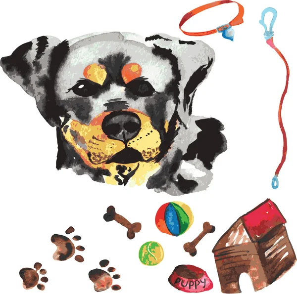 Ветеринарный комплект, включающий ротвейлер и аксессуары для собак, — стоковый вектор