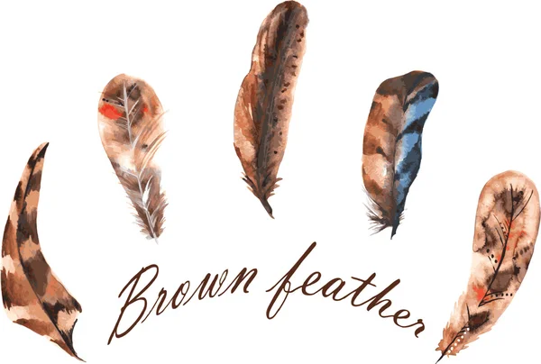 水彩的褐色羽毛，手工绘制的一组 — 图库矢量图片