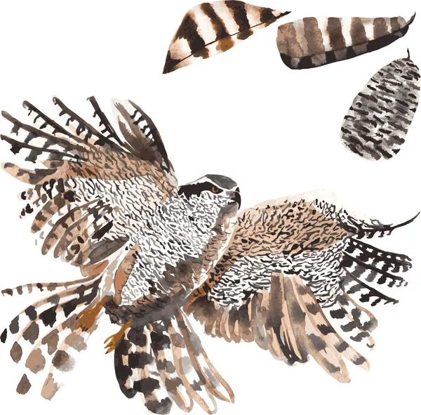 A set of hand-drawn watercolor containing bird Hawk and feathers — Stockový vektor