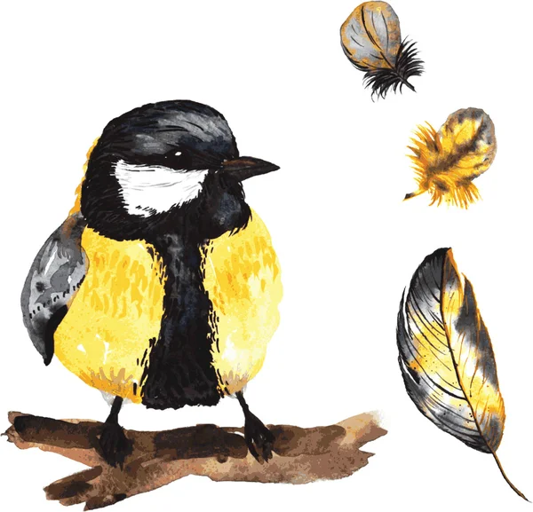 A set of hand-drawn watercolor containing bird Parus and feather — Stok Vektör