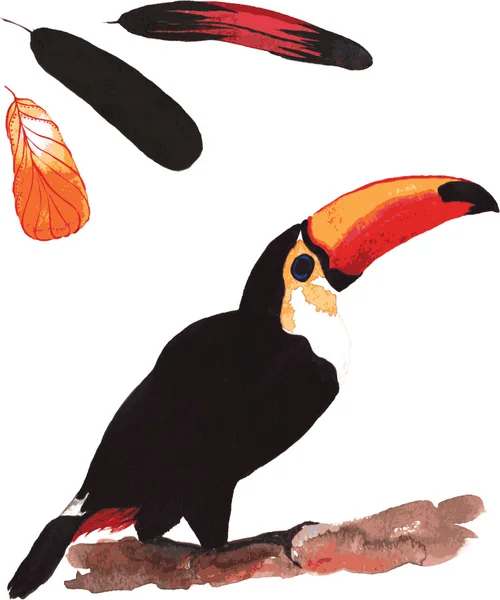 A set of hand-drawn watercolor containing bird Ramphastos toco a — Stockvector