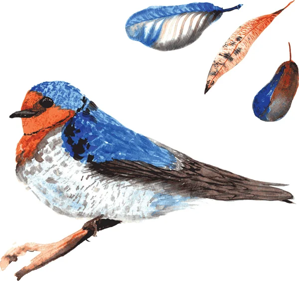 A set of hand-drawn watercolor containing bird Hirundo neoxena a — Stockvector