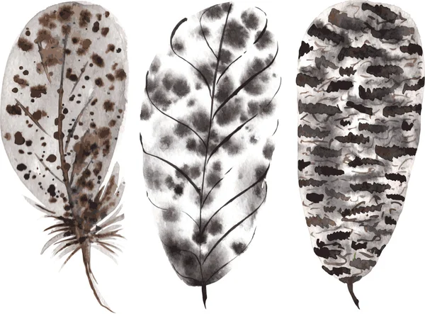 A set of hand-drawn watercolor beige black feathers — Stockvector