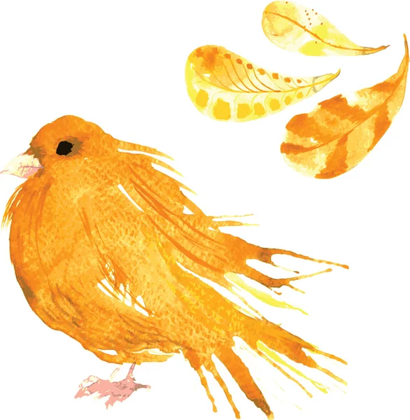 Set - watercolor bird canary, hand-drawn sketch of the technique — Stockvector