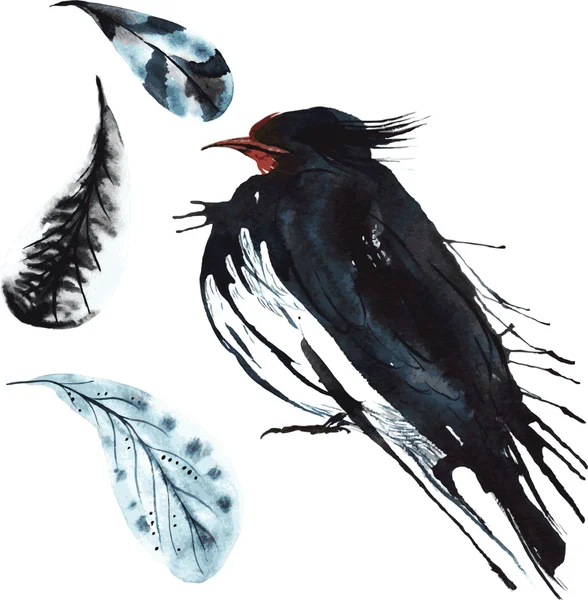 Set - watercolor bird swallow, hand-drawn sketch of the techniqu — Stockvector