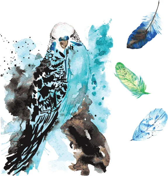 Hand-drawn watercolor bird parrot and feathers — Stockvector