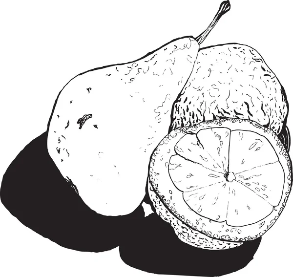 Still , pear and lemon halves , hand-drawn style graphics qualit — Stok Vektör