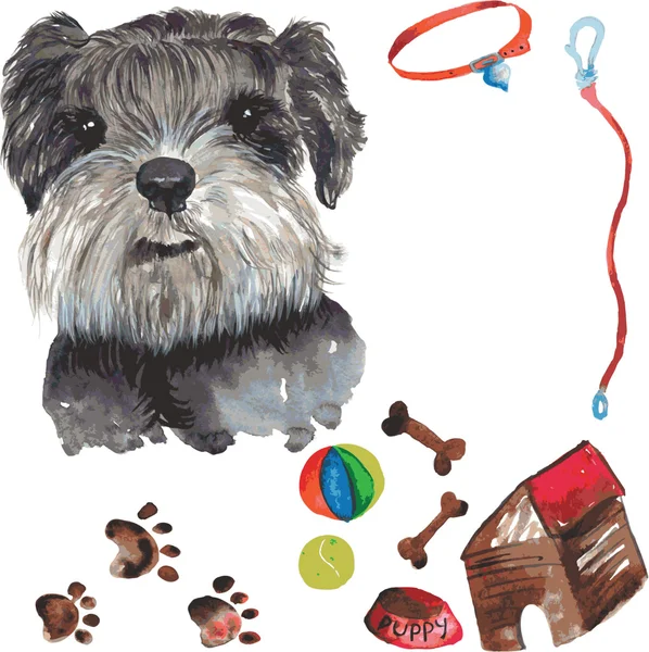 Set - Miniaturschnauzer Hundeporträt, sowie Zubehör — Stockvektor