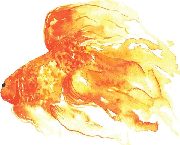 Χρυσό ψάρι, χέρι - χρωματισμένα υδατογραφίας — Διανυσματικό Αρχείο