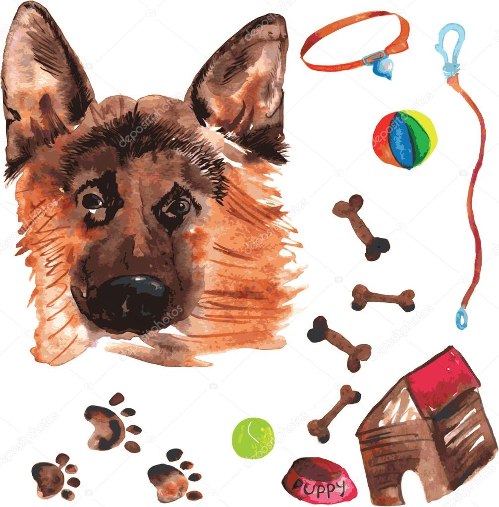 Veterinary kit comprising German Shepherd and accessories for do
