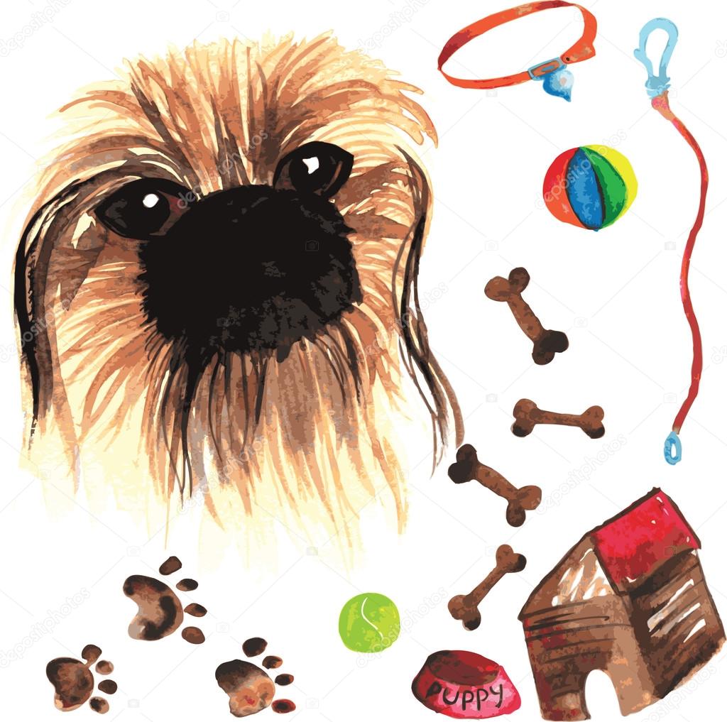 Veterinary kit comprising Pekingese and accessories for dogs, wa