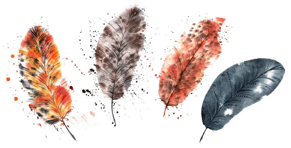 Set hand-painted watercolor - four light Fine feathers — Stock Photo, Image