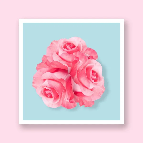 Illustration Bouquet Pink Roses White Paper Frame Blue Pastel Color — Stock Photo, Image