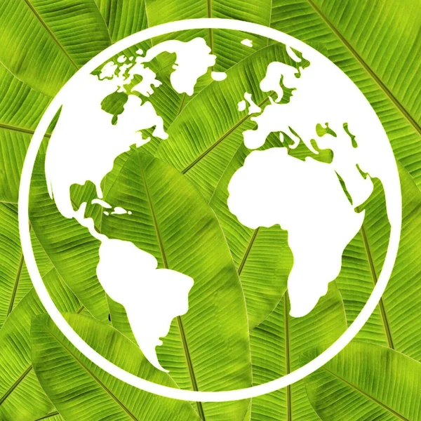 Kreativní Ilustrace Mapy Světa Papíru Zelených Listech Minimální Koncept Zelené Royalty Free Stock Obrázky