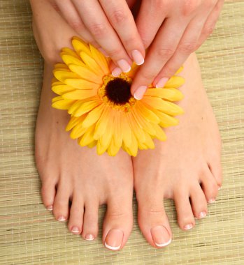 Mükemmel spa ile güzel ayak tırnak pedikür Fransız