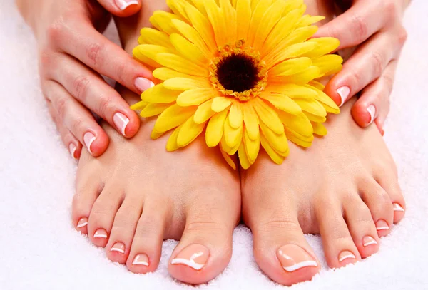 Belos pés com spa perfeito francês prego pedicure — Fotografia de Stock
