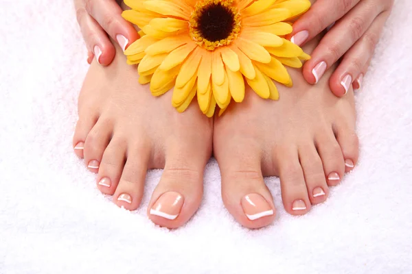 Pedicure op benen en mooie manicure op handen close-up — Stockfoto