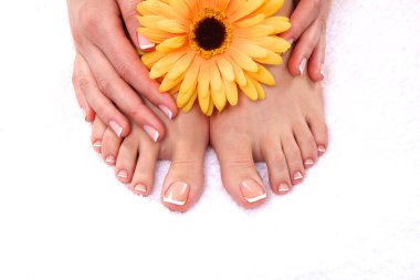 pedicure on legs and beautiful manicure on hands closeup clipart