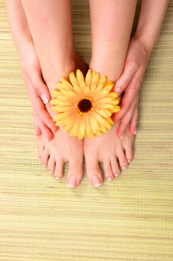 bacaklar ve eller portre üzerinde güzel manikür pedikür