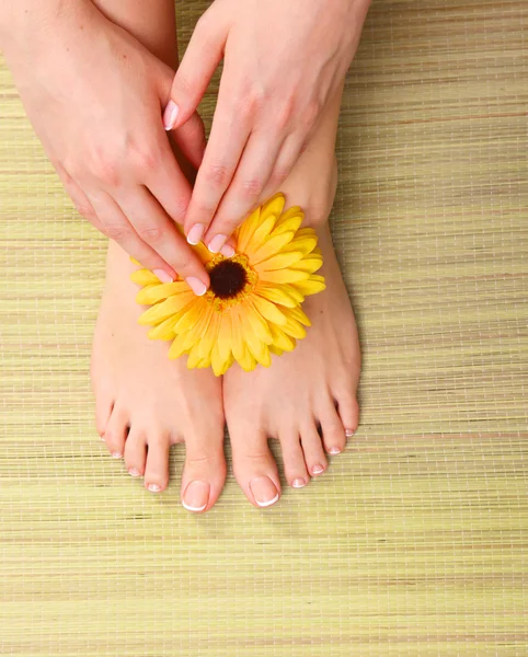 Pedicure op benen en mooie manicure op handen close-up — Stockfoto