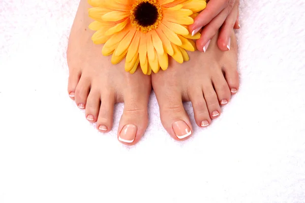 Pedicure em pernas e bela manicura em mãos closeup — Fotografia de Stock