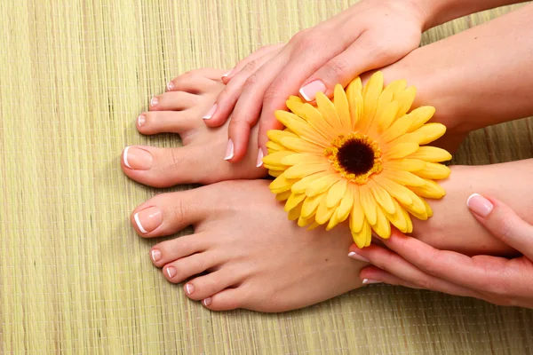 Pedicure on legs and beautiful manicure hands closeup — Stock Photo, Image