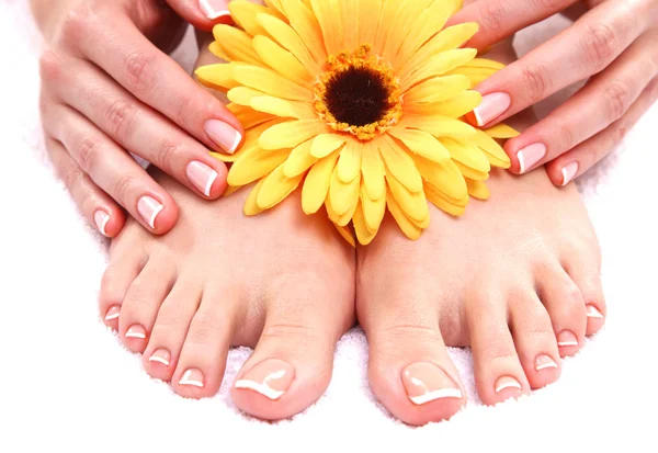 Pedicure em pernas e belas mãos de manicure closeup — Fotografia de Stock