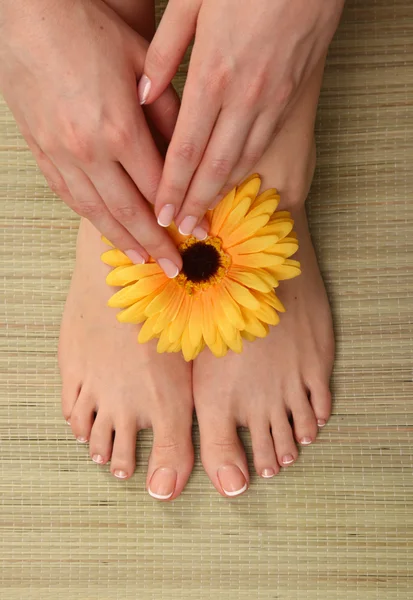 Beautiful feet with perfect spa french nail pedicure — Stock Photo, Image
