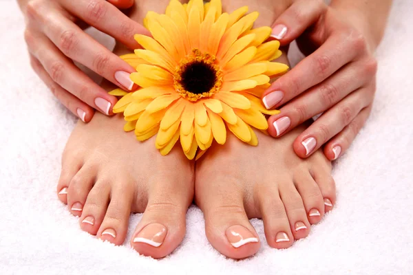 Belos pés com spa perfeito francês prego pedicure — Fotografia de Stock