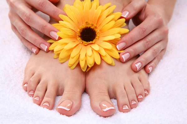 Mooie voeten met perfecte spa Frans nagel, pedicure — Stockfoto