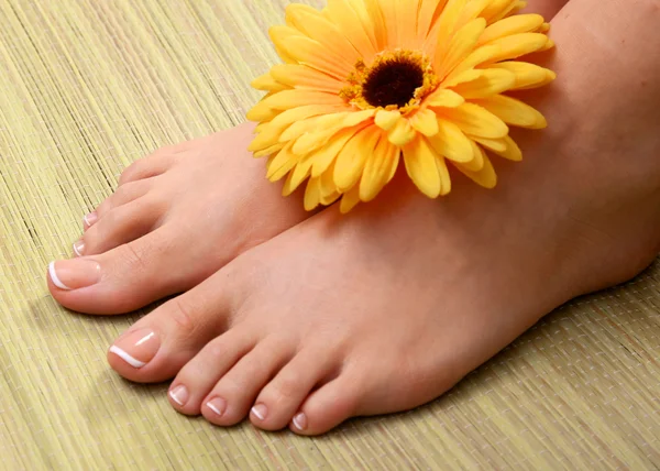 Красиві ноги з ідеальним спа-французьким педикюром для нігтів — стокове фото