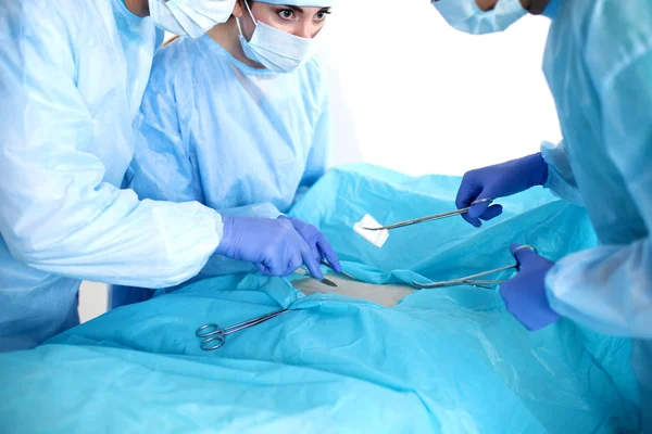 Team surgeon at work in operating room — Stock Photo, Image