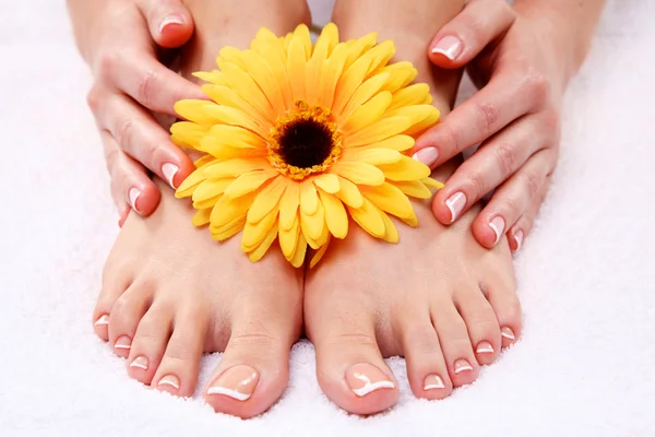 Pedicure em pernas e bela manicura em mãos closeup — Fotografia de Stock