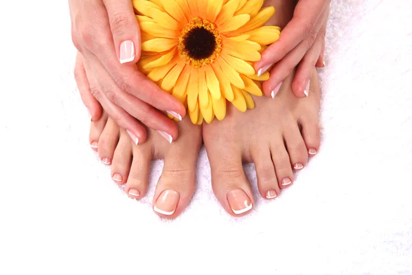 Pedicure em pernas e bela manicura em mãos closeup — Fotografia de Stock