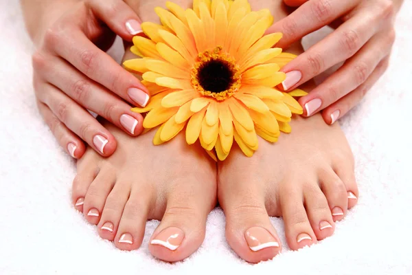 Belos pés com spa perfeito francês prego pedicure — Fotografia de Stock