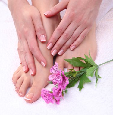 Kırmızı pedikür beyaz üzerine izole edilmiş güzel bir kadın ayağının yakın plan fotoğrafı.