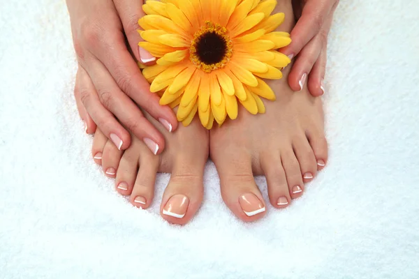 Foto de primer plano de unos hermosos pies femeninos con pedicura — Foto de Stock