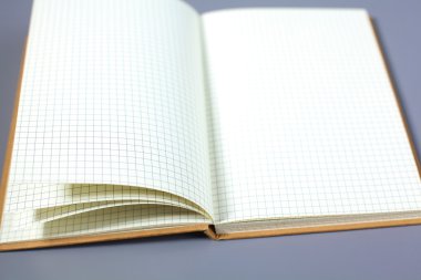 Not defterini açtınız. izole gri arka plan