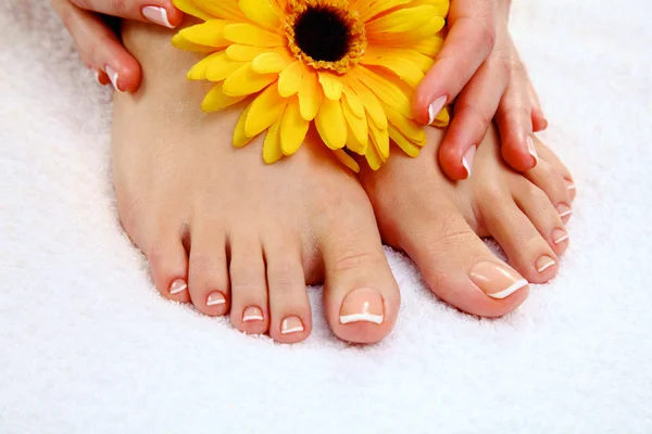Belos pés com spa perfeito francês prego pedicure — Fotografia de Stock