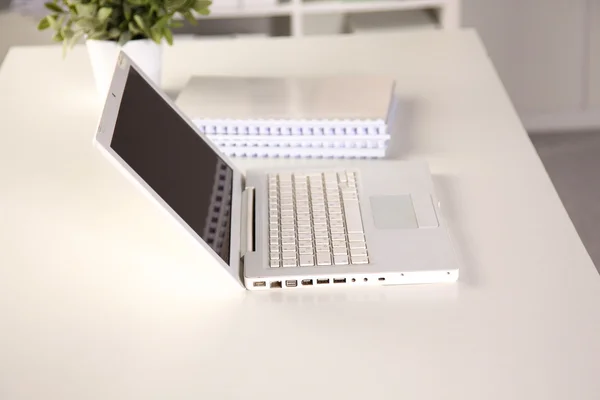 Bir iş Danışma iç ile bir dizüstü bilgisayar, bir fincan kahve ve beyaz perde güneşli bir görünümünü kapat — Stok fotoğraf