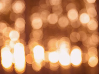 Yaz mevsiminde çamların gölgeli altın günbatımı renkleri. Ormanda gün batımında ışığı söndür..