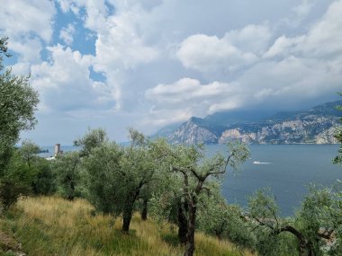İtalya, Garda Gölü, dağdan göl manzarası. Gökyüzü ve zeytin ağaçlarıyla manzara