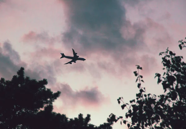 El avión vuela en nubes rosadas al atardecer — Foto de Stock