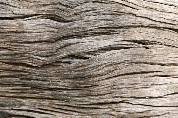 Holzstruktur — Stockfoto